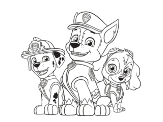 coloriage de pat patrouille