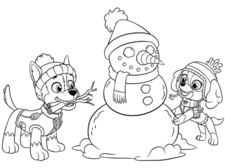coloriage pat patrouille neige