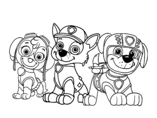 dessin pat patrouille à colorier