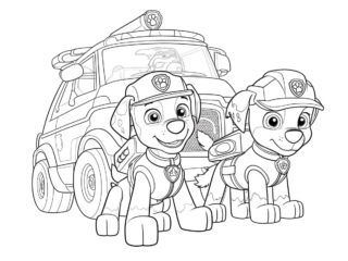 coloriage de la pat patrouille