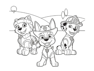 pat patrouille coloriage