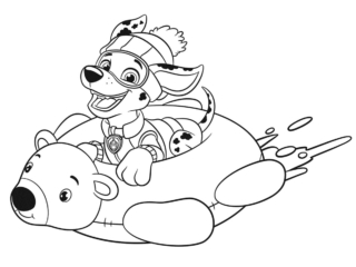 coloriage pat patrouille