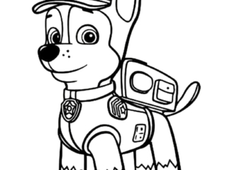 dessin marcus pat patrouille