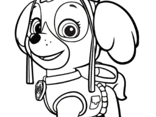 dessin stella pat patrouille