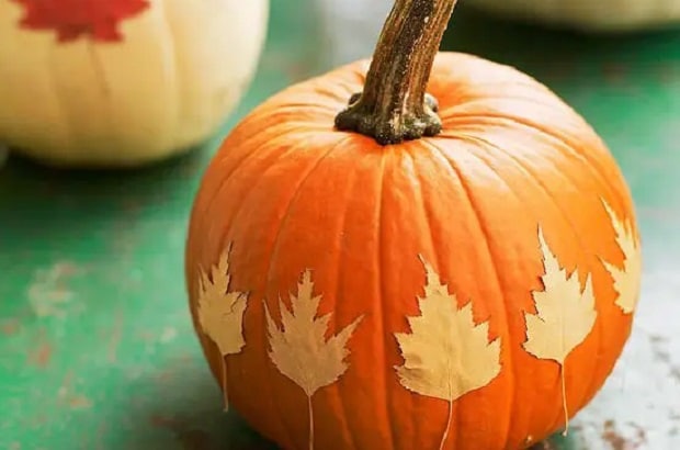 pumpkin decorated with leaves