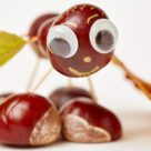 Animaux en marrons / châtaignes / glands : des idées simples