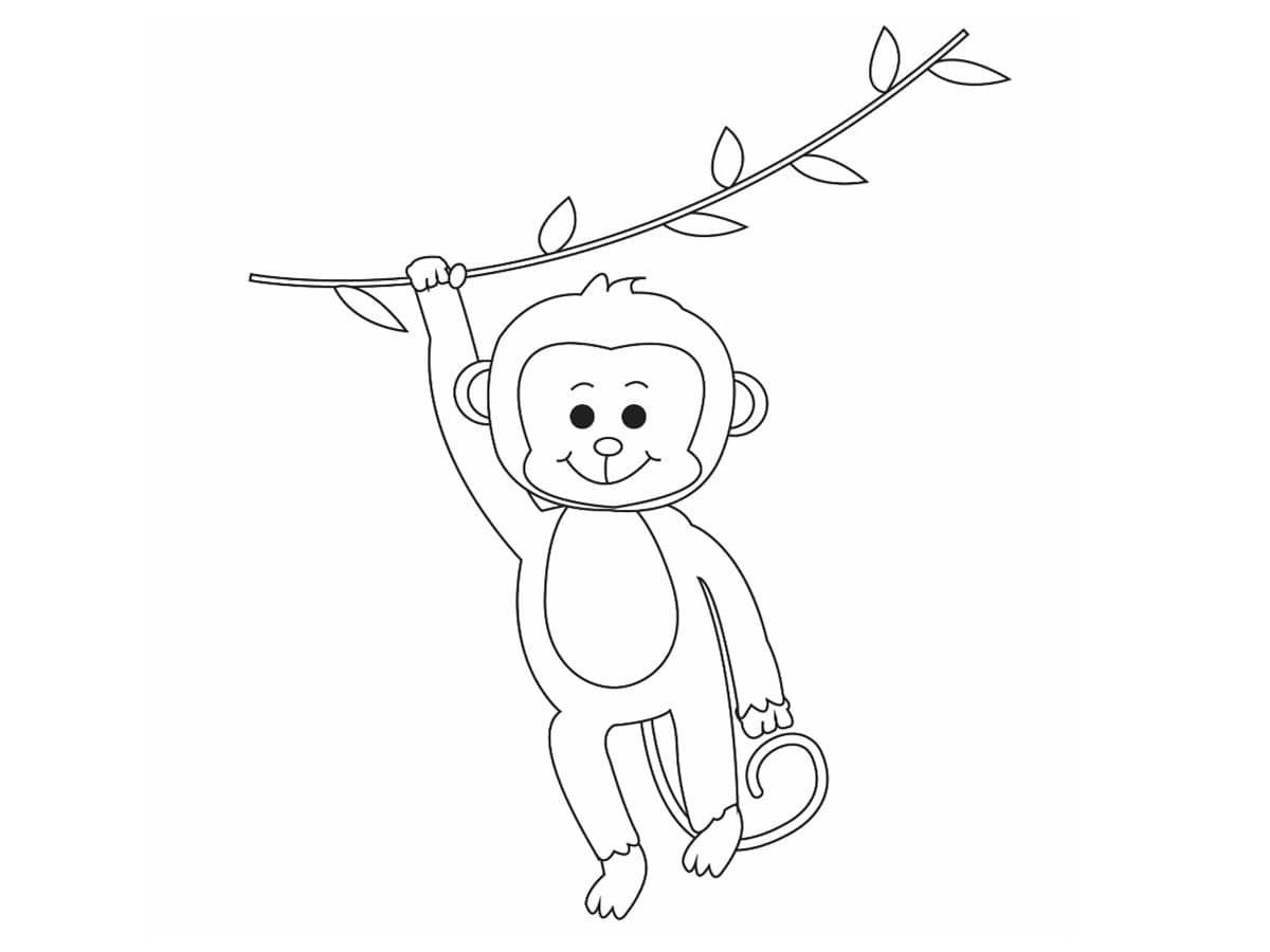 singe qui se balance dessin