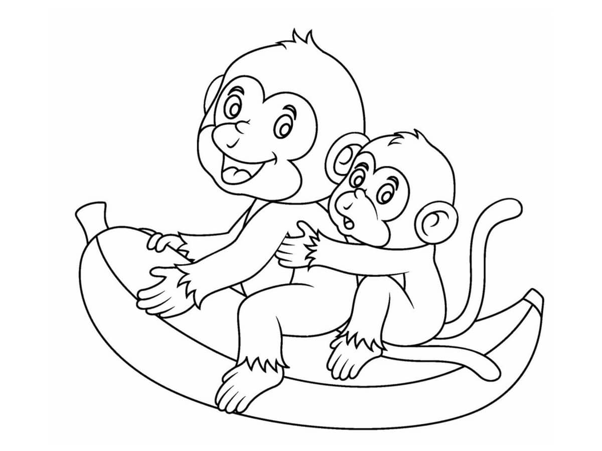 singes sur une banane