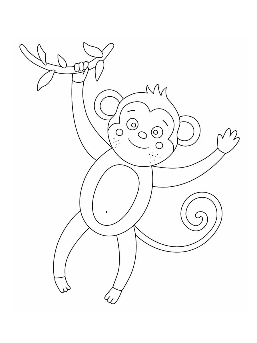 dessin singe à imprimer