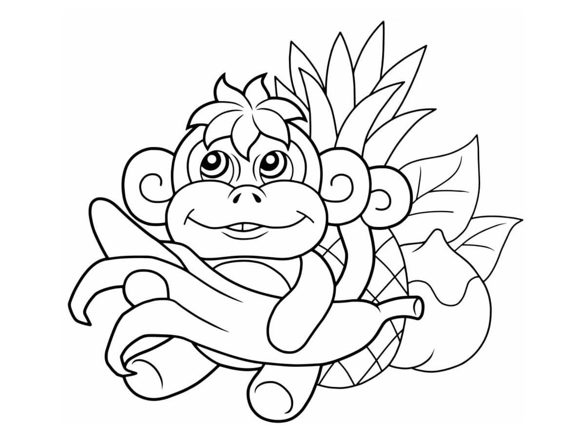 dessin de singe