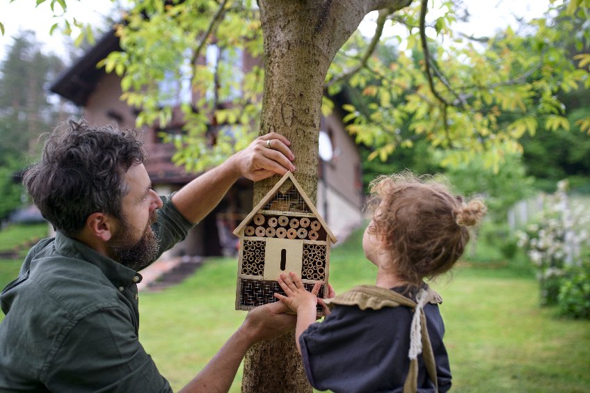 hôtel à insectes fait maison