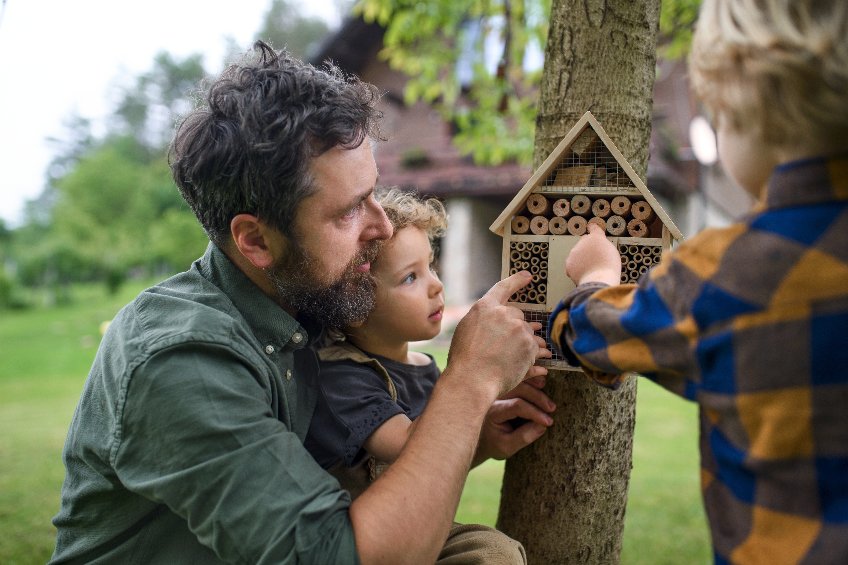 comment faire un hôtel à insectes