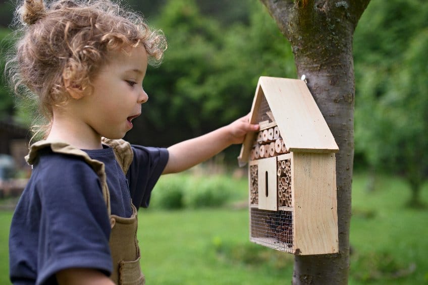 Hôtel à insectes - Matériel Montessori