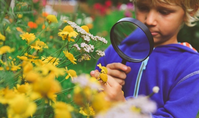 Comment créer un jardin qui attire la faune