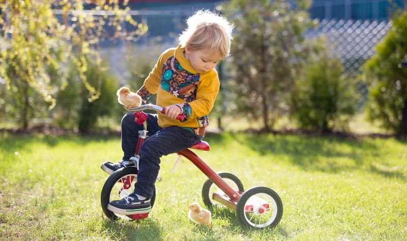 Comment bien choisir un tricycle enfant ?