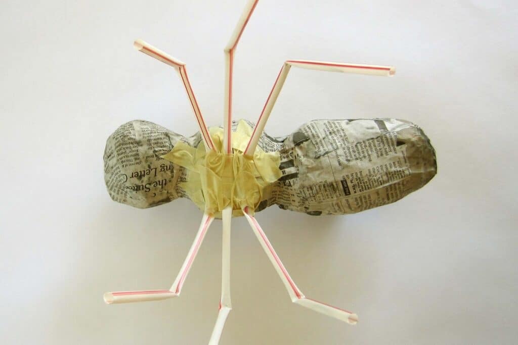 insecte en papier mâché