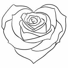 dessin rose