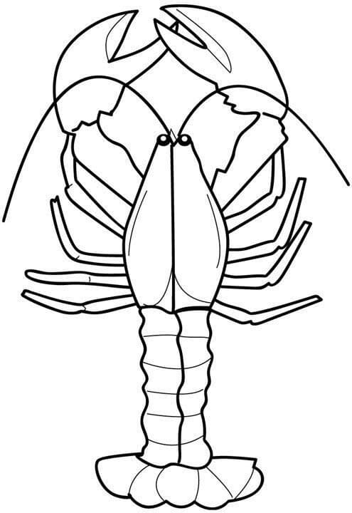 coloriage homard