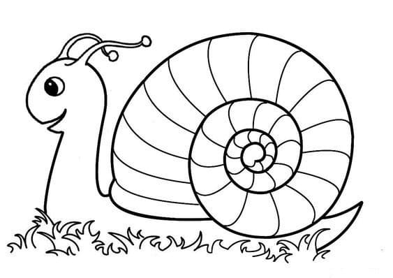 coloriage escargot