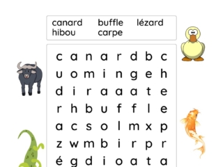 livret activités animaux (4) mots cachés animaux 6 ans