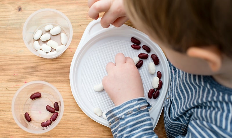 c'est quoi une activité montessori