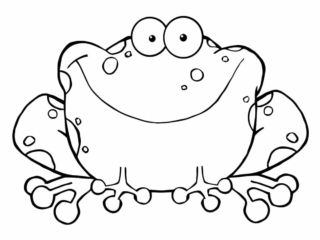 coloriage crapaud (14) crapaud à colorier