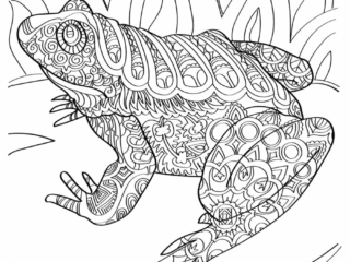 coloriage crapaud (17) coloriage adulte crapaud