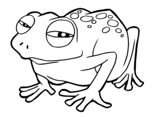 coloriage crapaud (19) vilain crapaud noir et blanc