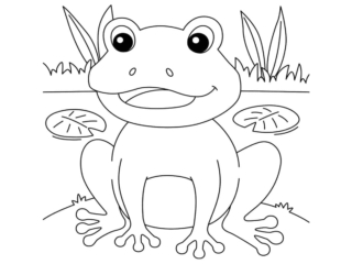 coloriage crapaud (20) dessin crapaud