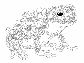 coloriage crapaud (21) coloriage crapaud adulte