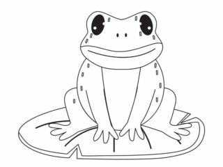 coloriage crapaud (23) dessin crapaud