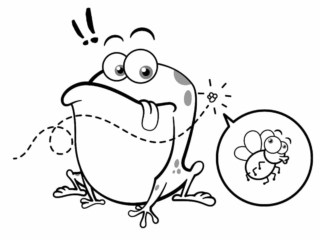 coloriage crapaud (26) dessin rigolo de crapaud