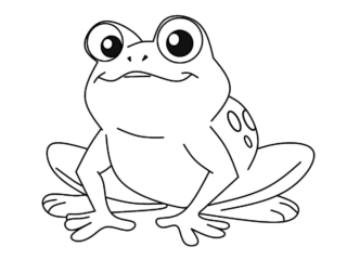 coloriage crapaud (27) crapaud à colorier