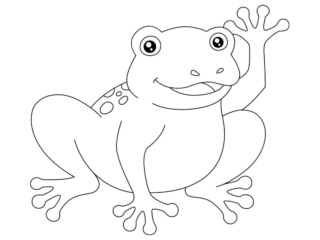coloriage crapaud (28) crapaud coloriages