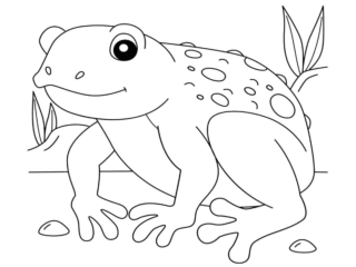 coloriage crapaud (29) coloriages de crapaud
