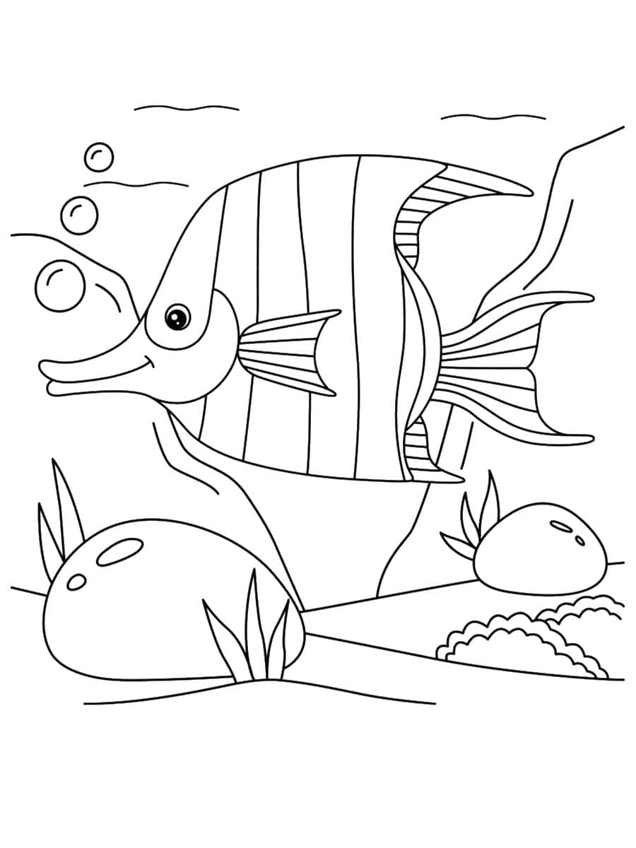 Poisson à Imprimer Coloriage poisson : 30 dessins à imprimer gratuitement