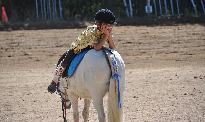 activité hobby horse enfant