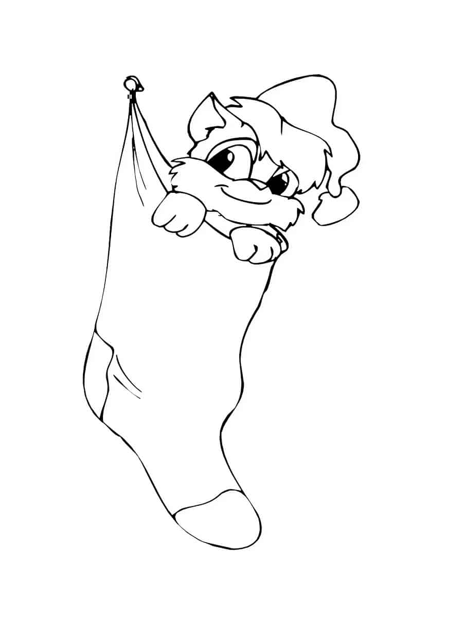 coloriage chat dans une chaussette