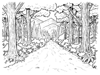 coloriage forêt (11) coloriage forêt