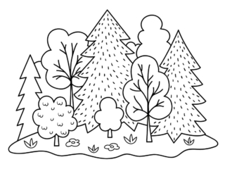 coloriage forêt (14) coloriage forêt