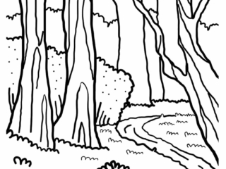 coloriage forêt (2) dessin rivière et forêt