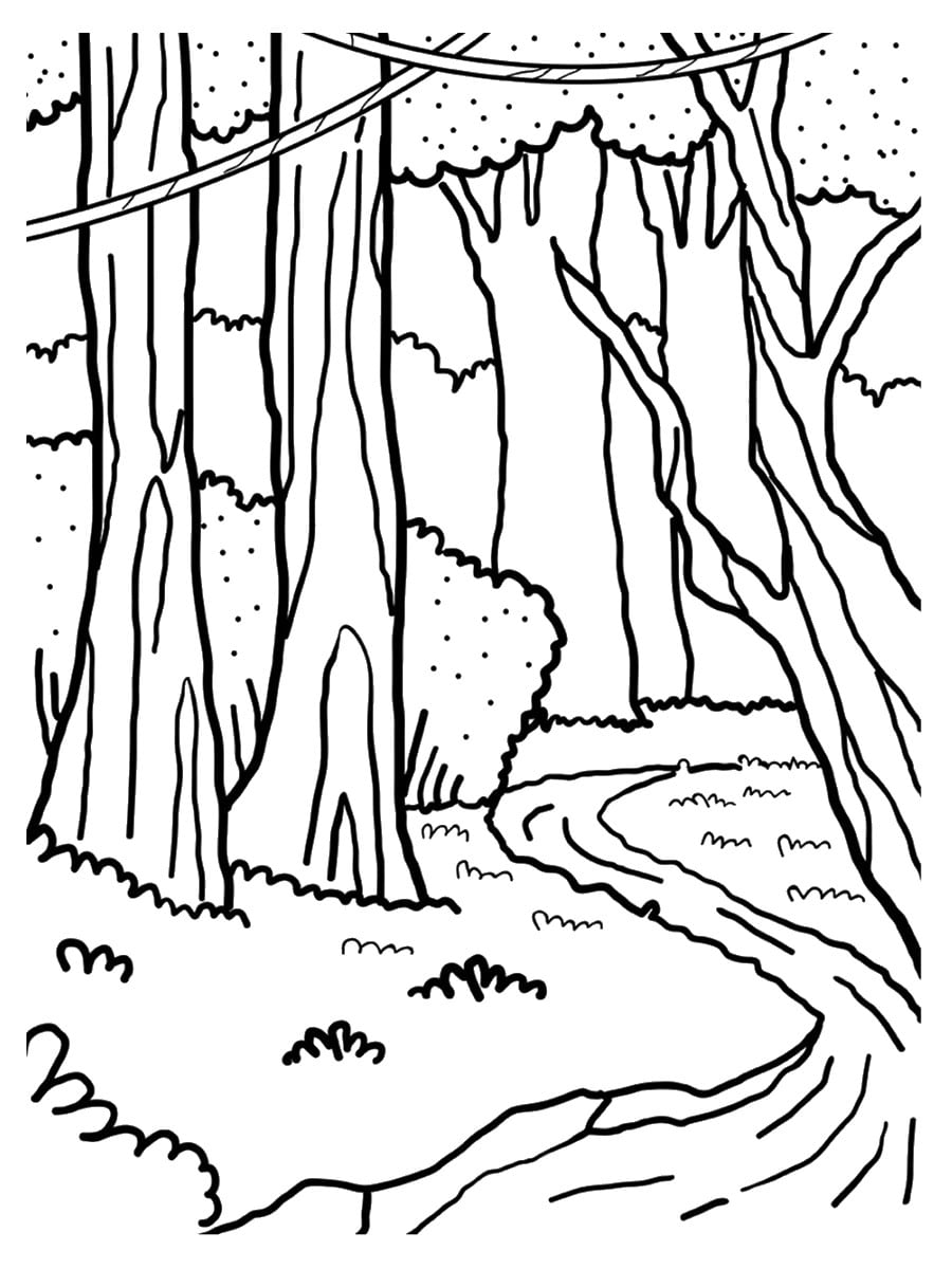 dessin rivière et forêt