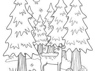 coloriage forêt (5) coloriage forêt