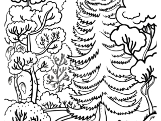 coloriage forêt (6) forêt à colorier