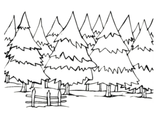 coloriage forêt (8) coloriage forêt