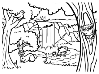 coloriage forêt (9) forêt coloriage