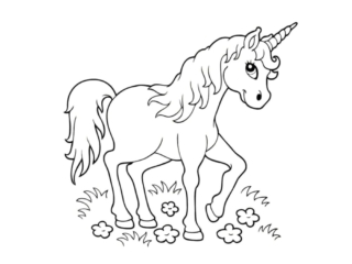 coloriages de licorne