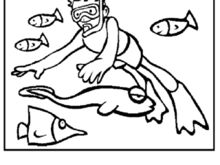 coloriage mer