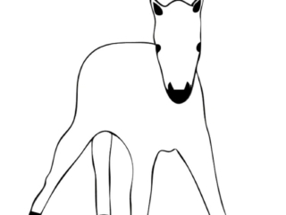 coloriage poulain facile