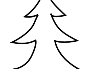 coloriage sapin (14) contour d'un sapin